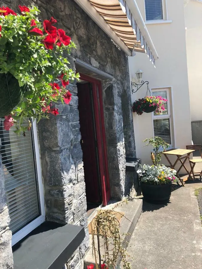 Amber Hill Bed and Breakfast Galway 3*,