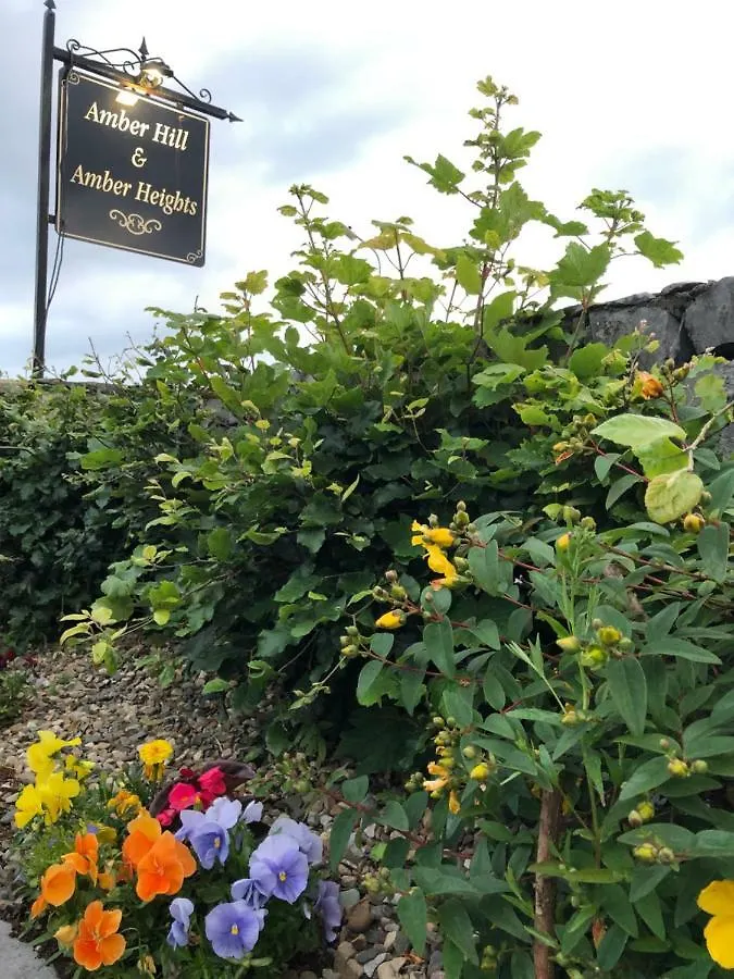 Bed & Breakfast Amber Hill Bed and Breakfast Galway