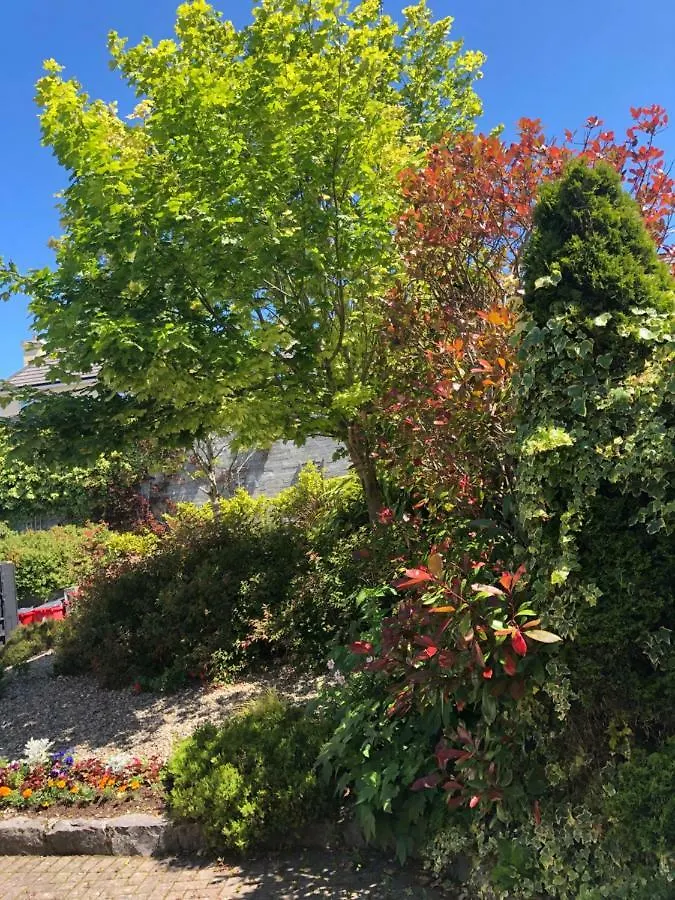 Amber Hill Bed & Breakfast Galway